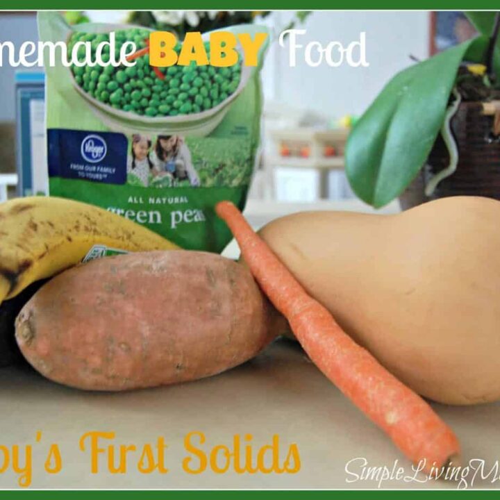 Homemade baby food made with avocado, banana, sweet potato, carrot, butternut squash