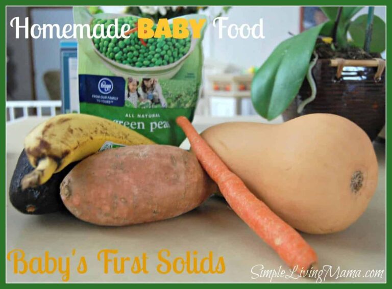 Homemade baby food made with avocado, banana, sweet potato, carrot, butternut squash