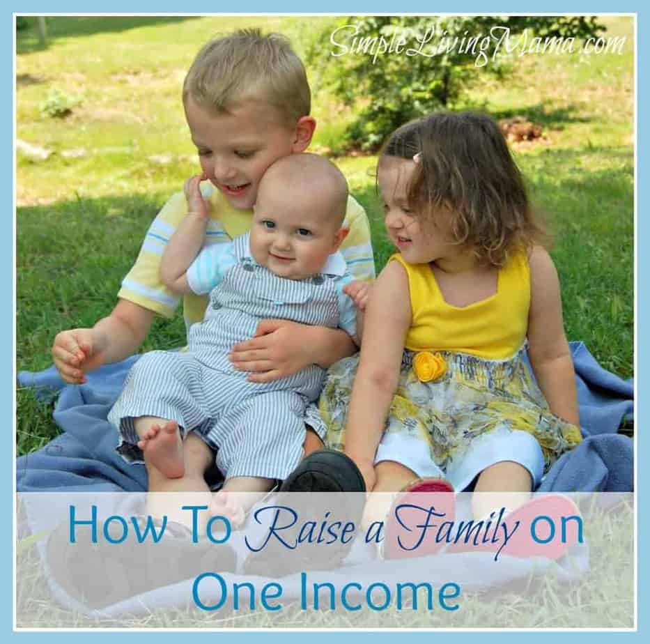 How To Raise a Family on One Income