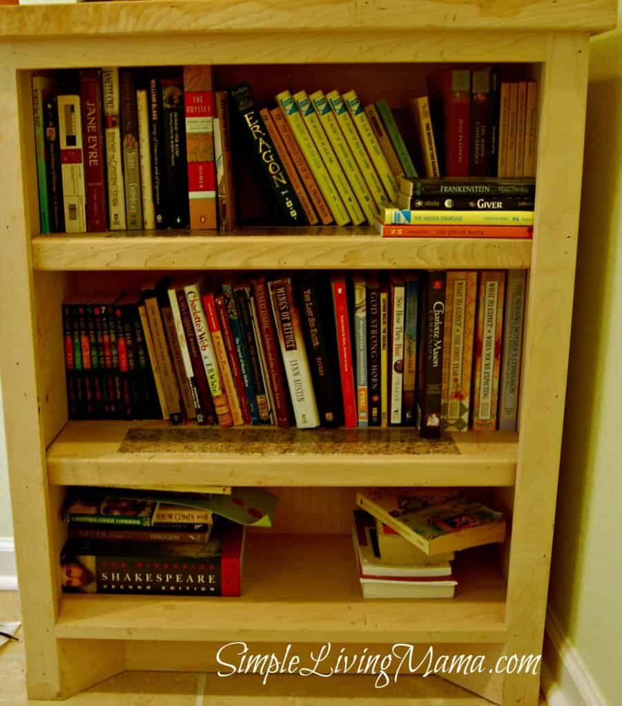 bookshelf3