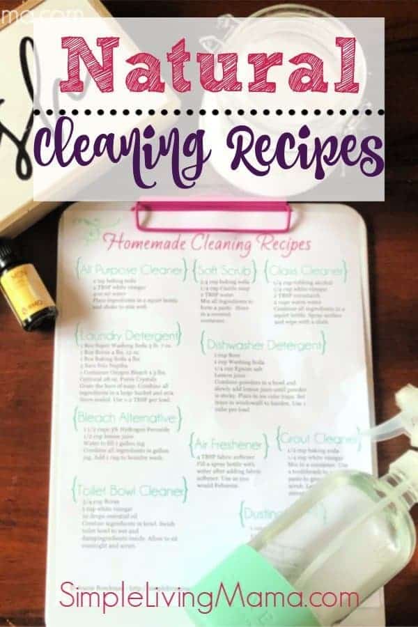 Homemade 409 Cleaner Recipe! {Quick + Easy to Make}  Cleaner recipes,  Homemade cleaners recipes, Cleaning recipes