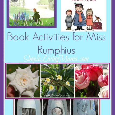 Book activities for Miss Rumphius