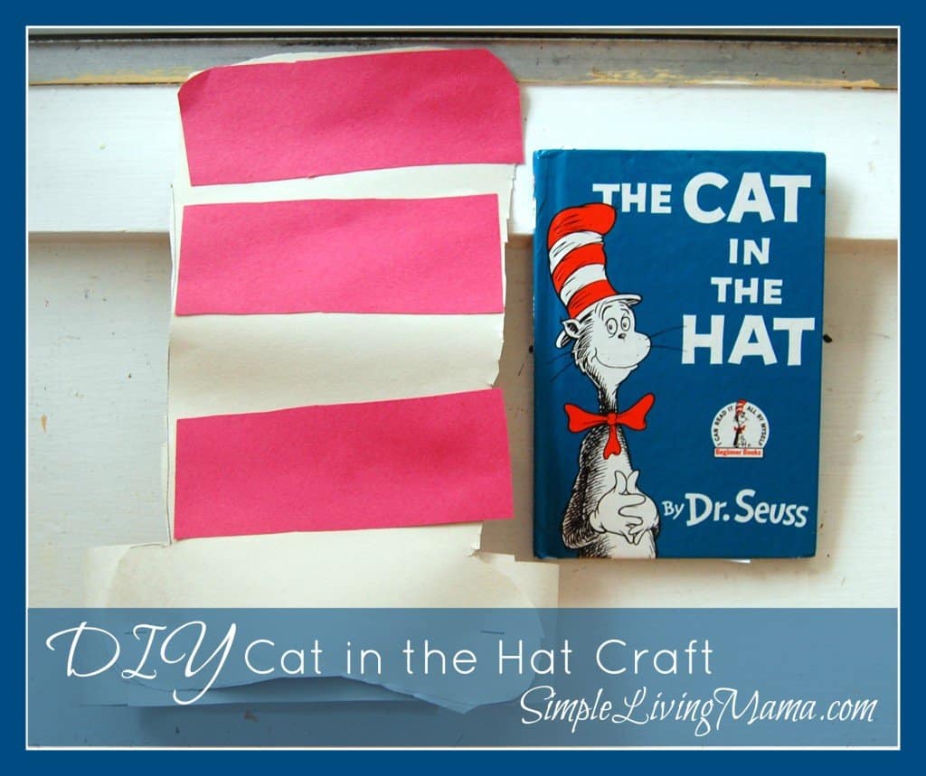 cat in the hat craft