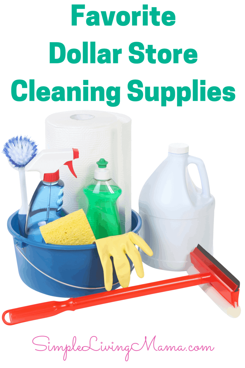 25+ Must Buy Dollar Tree Cleaning Supplies - Clarks Condensed