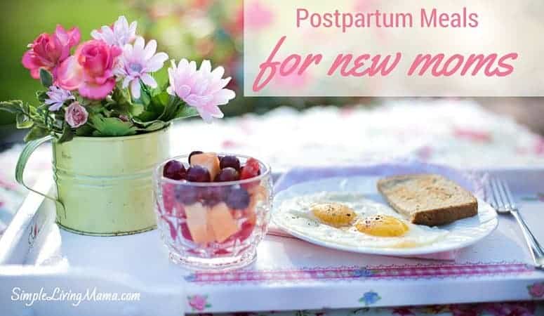 Postpartum Meals for New Moms