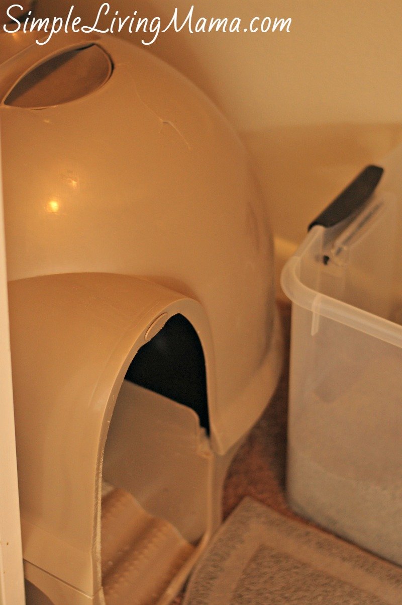 covered litter box