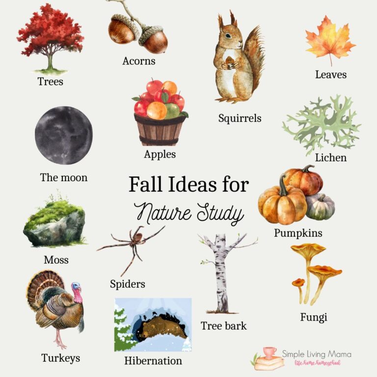 Fall nature study books for kids.