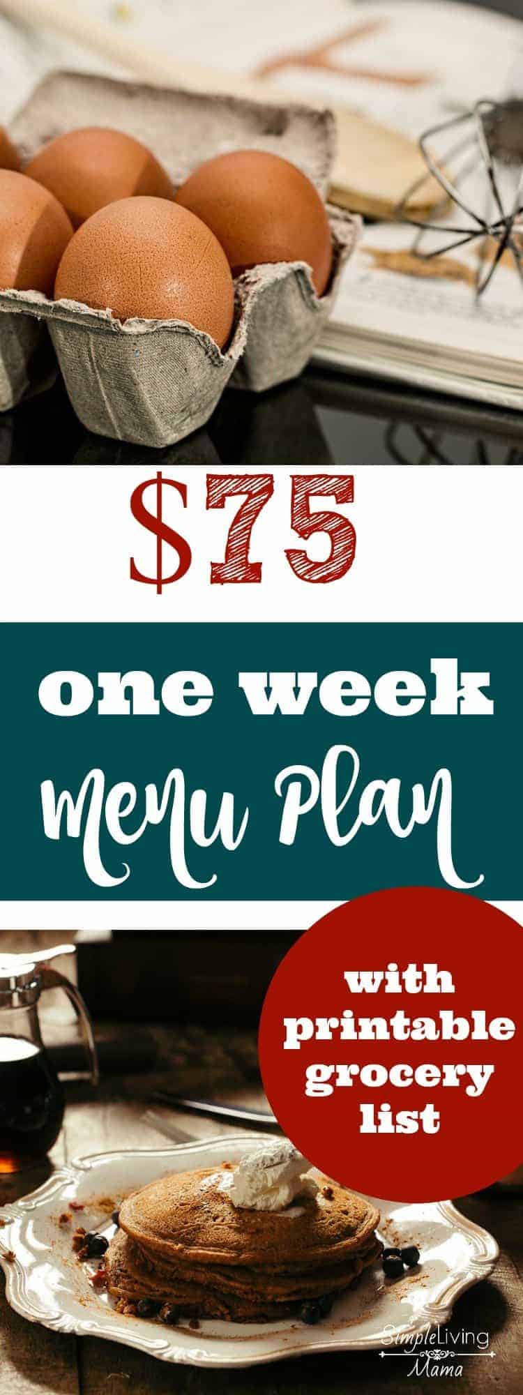 What would you buy if you had only $75 to feed a family of six for one week? This complete one week menu plan breaks down prices for all items and you an even snag a printable version!