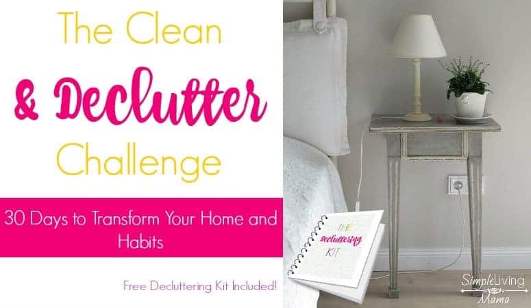The Clean and Declutter Challenge