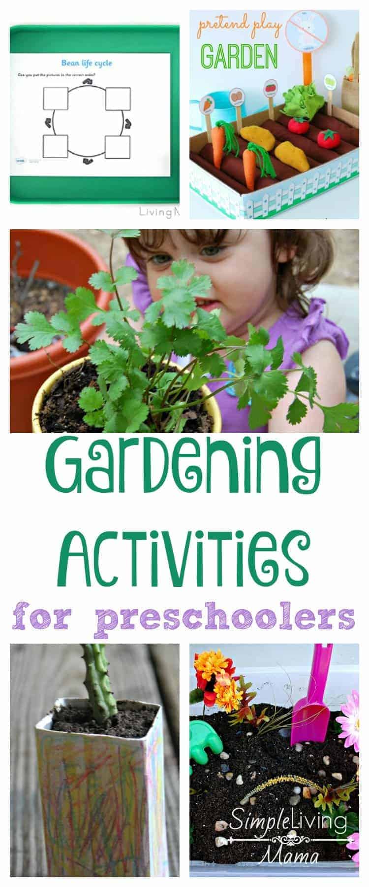 gardening activities for preschoolers simple living mama