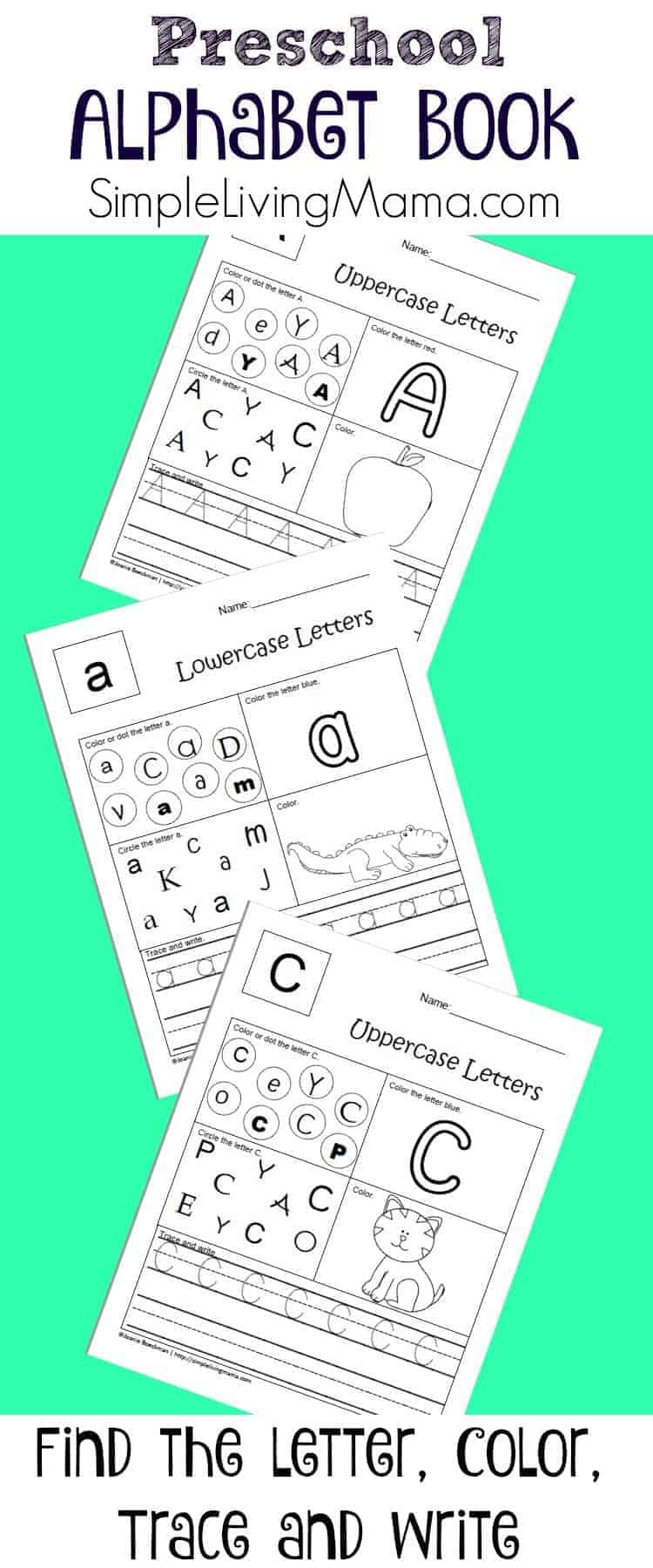 My First Interactive Notebook!  Interactive alphabet notebooks, Teaching  the alphabet, Preschool learning