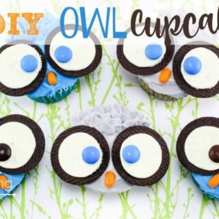 DIY Owl Cupcakes are a fun and easy treat to make with kids.