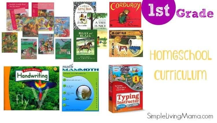 First Grade Curriculum Choices