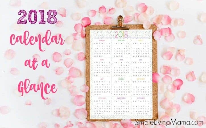 2018 calendar at a glance on a clipboard