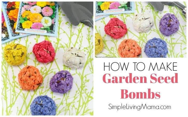 Learn how to easily make these diy garden seed bombs!