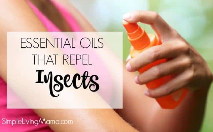 Essential Oils That Repel Insects