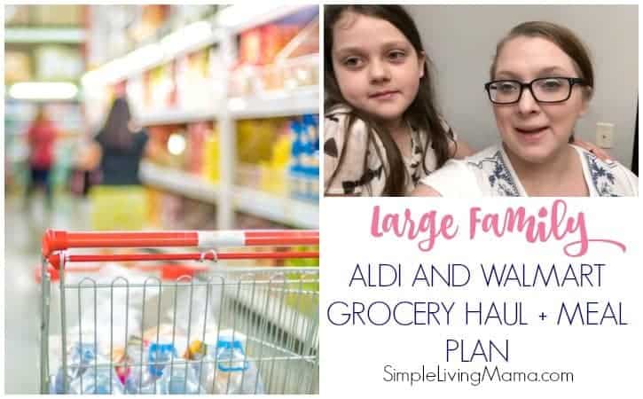 Large Family Aldi and Walmart Grocery Haul and Meal Plan