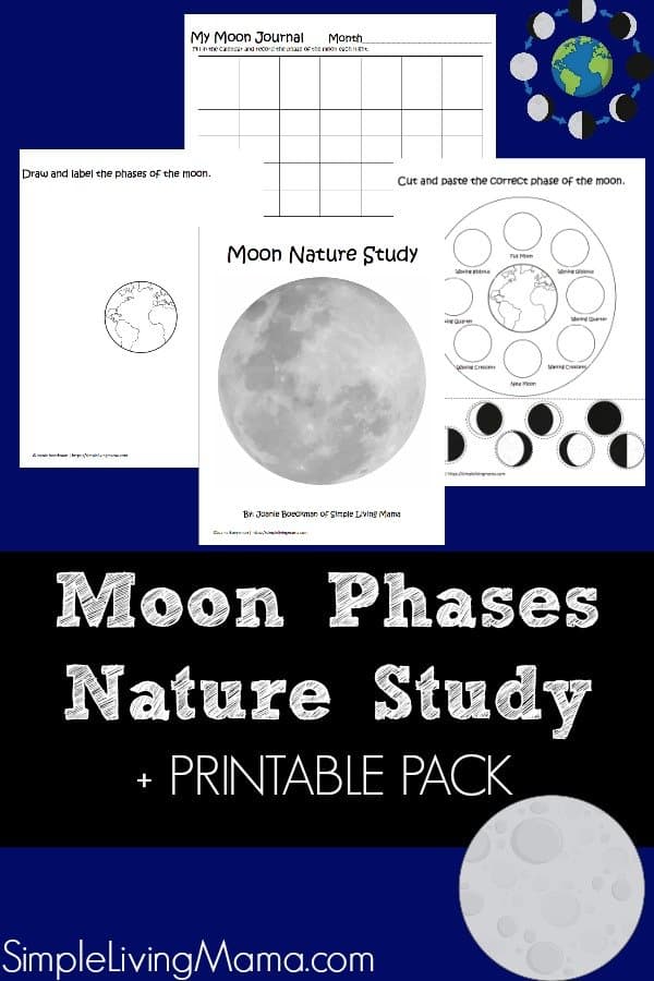 Learn about the moon phases with this nature study guide and moon phases printables. 