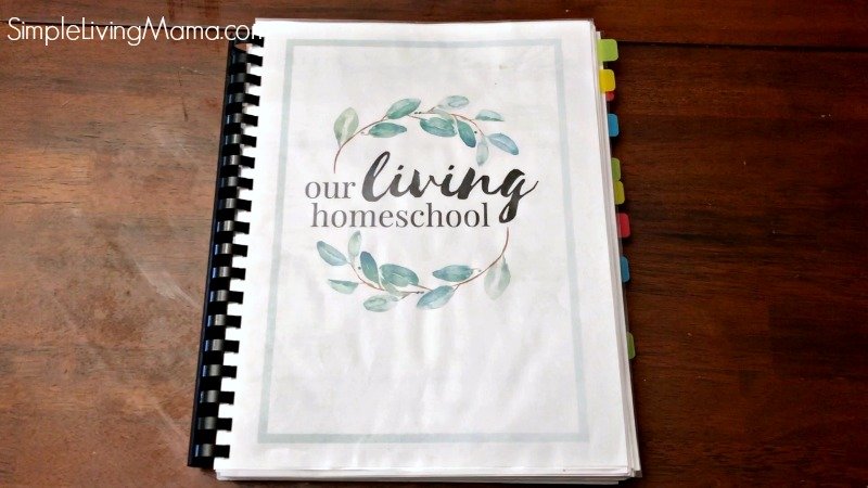 Easy Homeschool Organization Ideas + Free Homeschool Planner