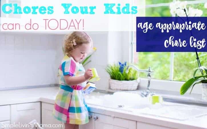 Age Appropriate Chores for Kids