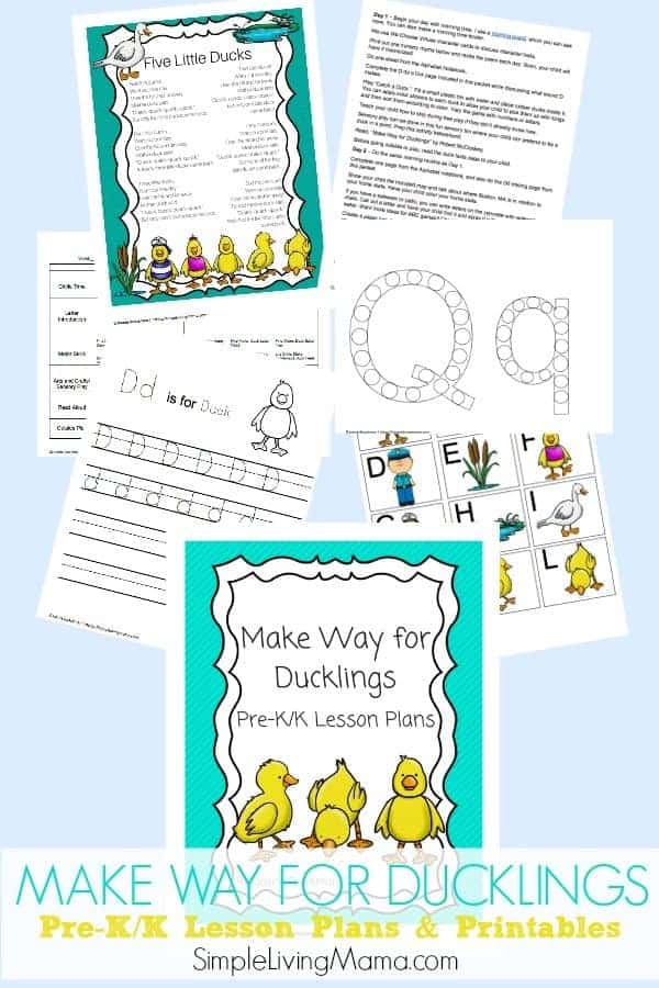 Introduce your child to ducks with Make Way for Ducklings Pre-K/K lesson plans and printables.