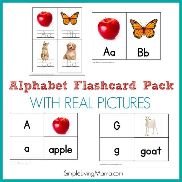 Printable ABC Flashcards Pack with Real Pictures - Simple Living Mama