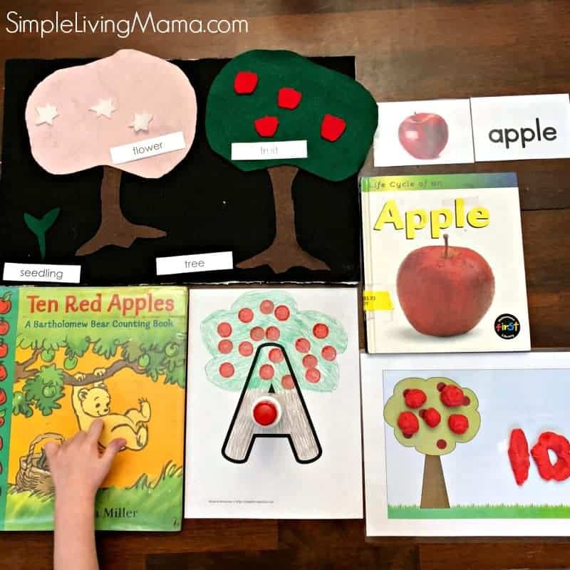 Download Apple Theme Lesson Plans for Preschool and Kindergarten - Simple Living Mama