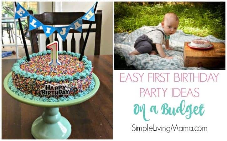 Easy First Birthday Party Ideas On a Budget