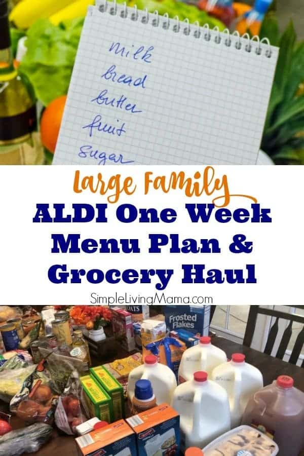 Whole Foods Haul - Family Meal Plan For a Week