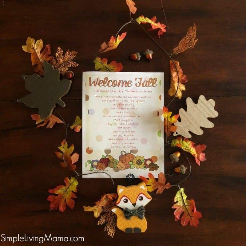 fall bucket list for toddlers and preschoolers