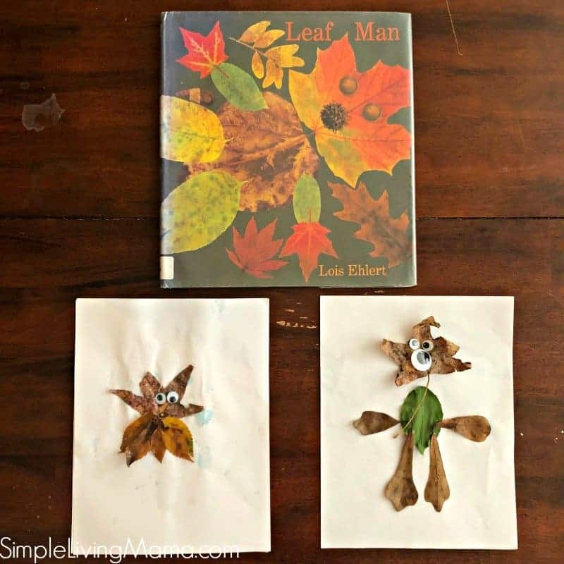 Leaf Man activities are perfect for preschoolers! Use natural materials to create a leaf man of your own!