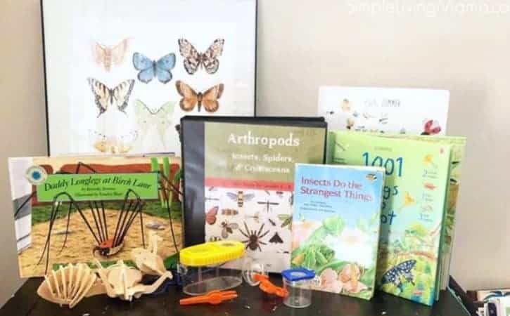 Insect Unit Study Resources – The Good and the Beautiful Arthropods