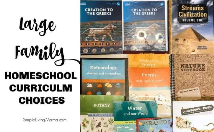 Large Family Homeschool Curriculum Choices 2019-2020