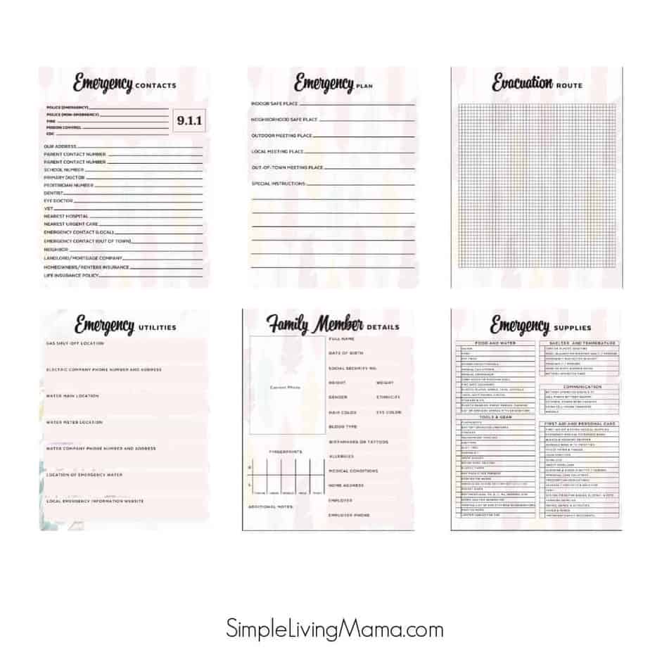 Emergency Binder Printables - Feather Print - Image 4