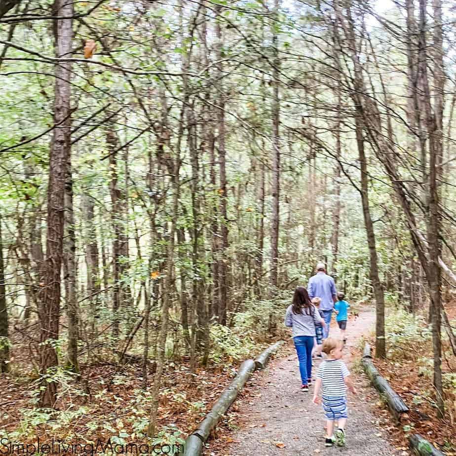 Fall nature walk with family.