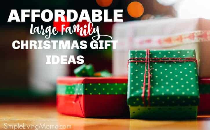 Affordable Large Family Christmas Gift Ideas - Simple Living Mama