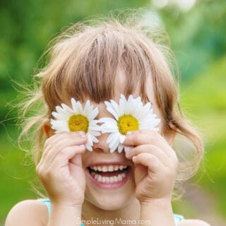 Preschool Flower Lesson Plans