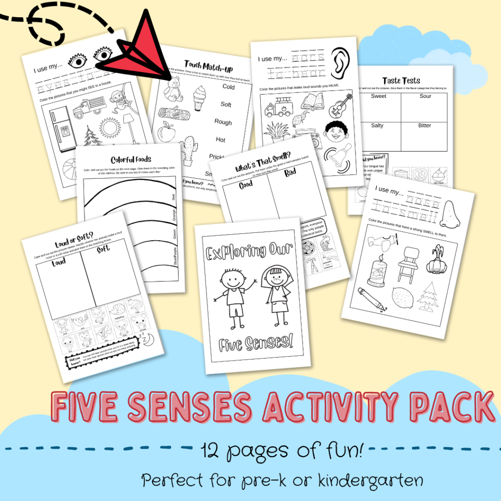 Five Senses Printable Activity Book