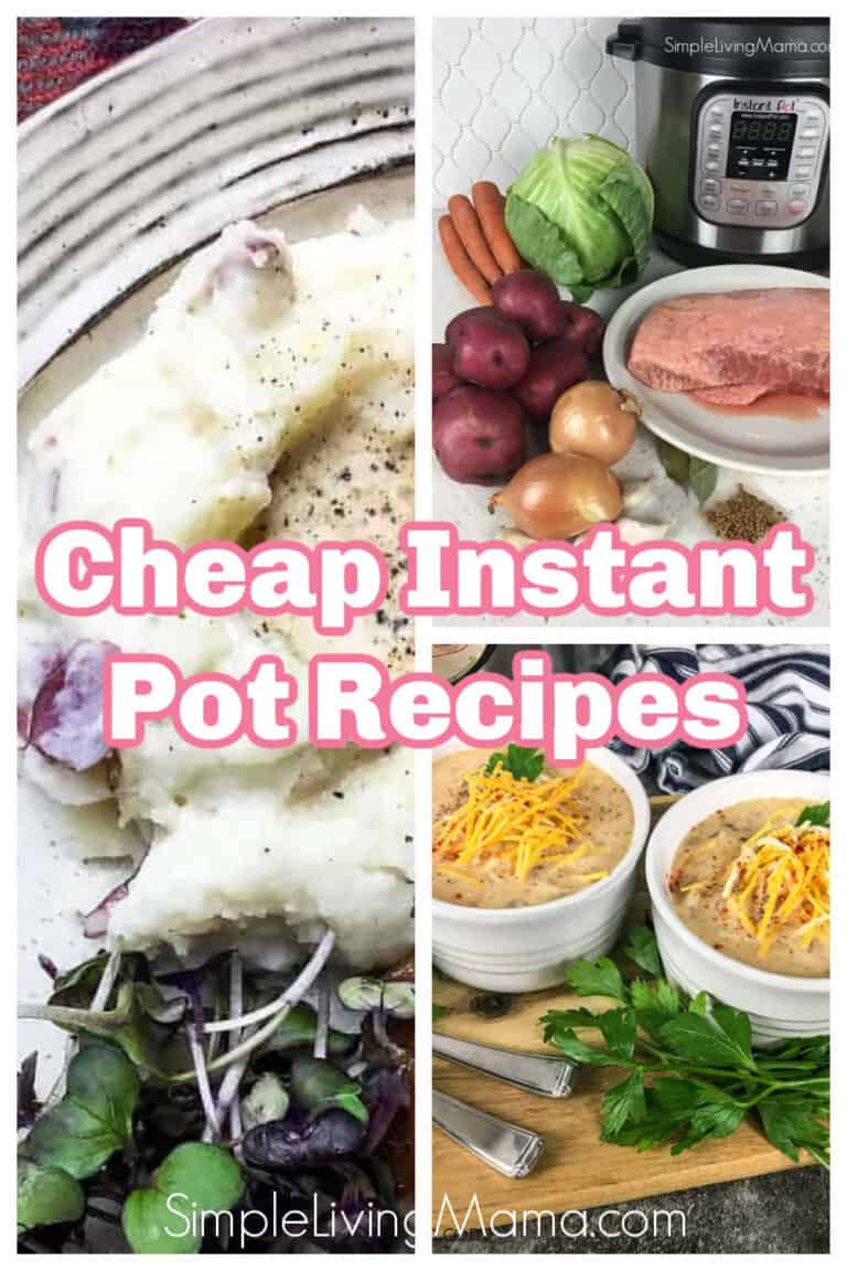 Cheap Instant Pot Recipes