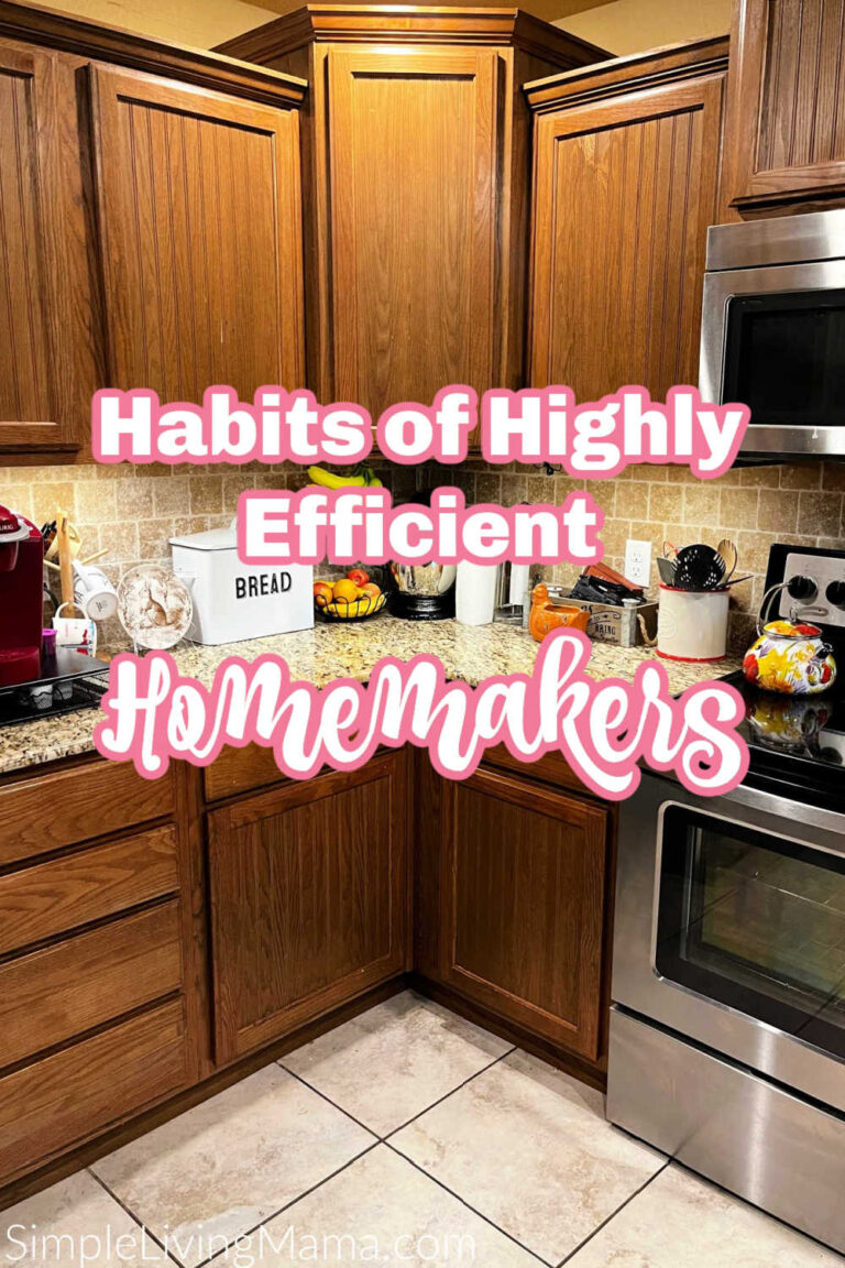 7 Habits of Highly Efficient Homemakers