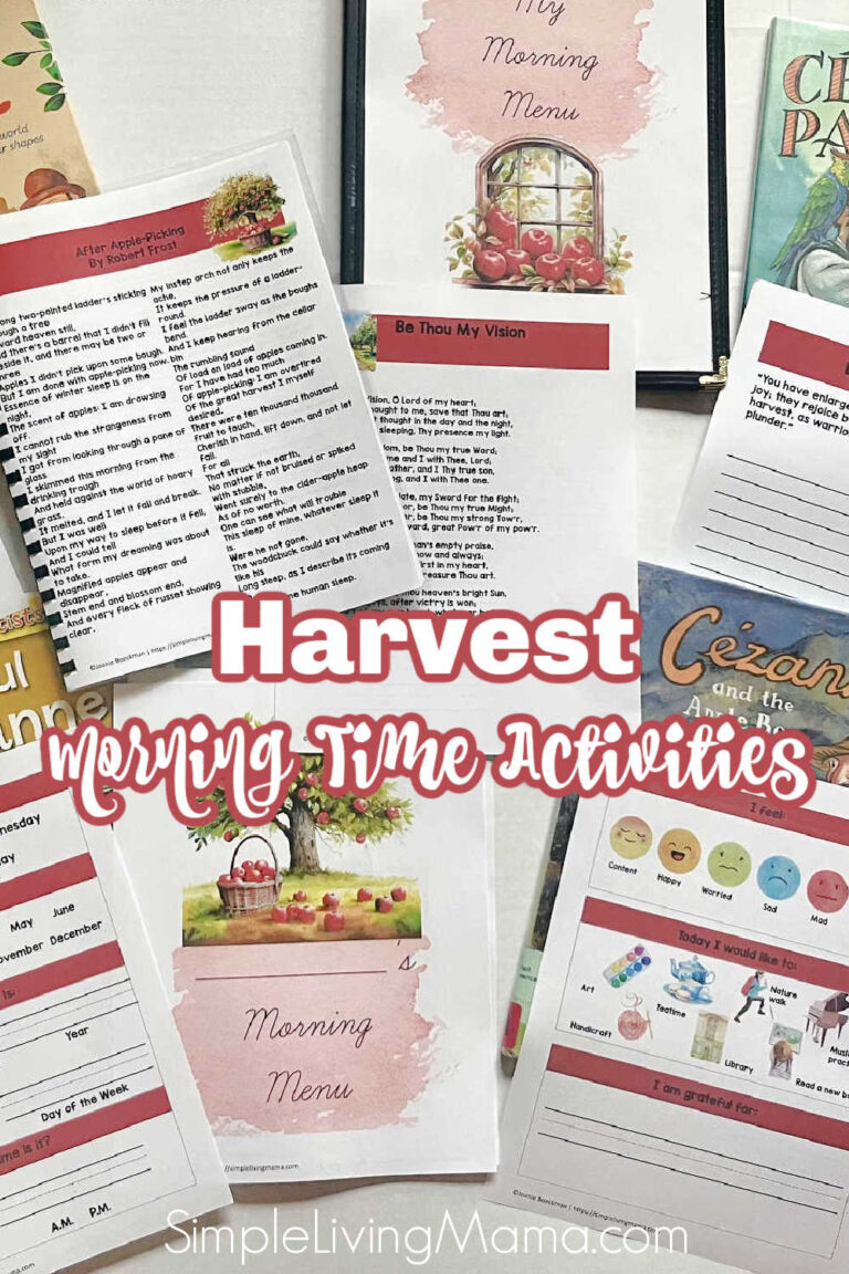 Harvest themed morning time activities