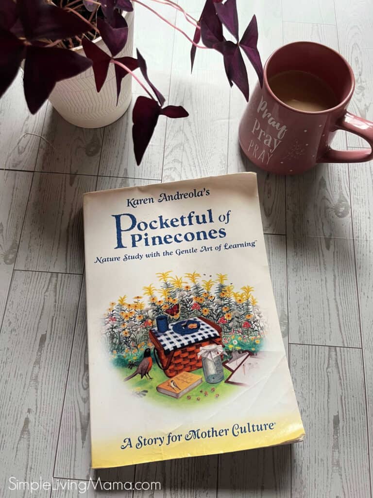 Pocketful of Pinecones