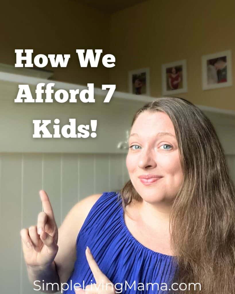 How We Afford To Homeschool 7 Kids