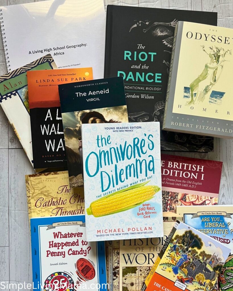 9th Grade Homeschool Curriculum Choices